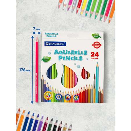 Карандаши акварельные Brauberg 24 шт.