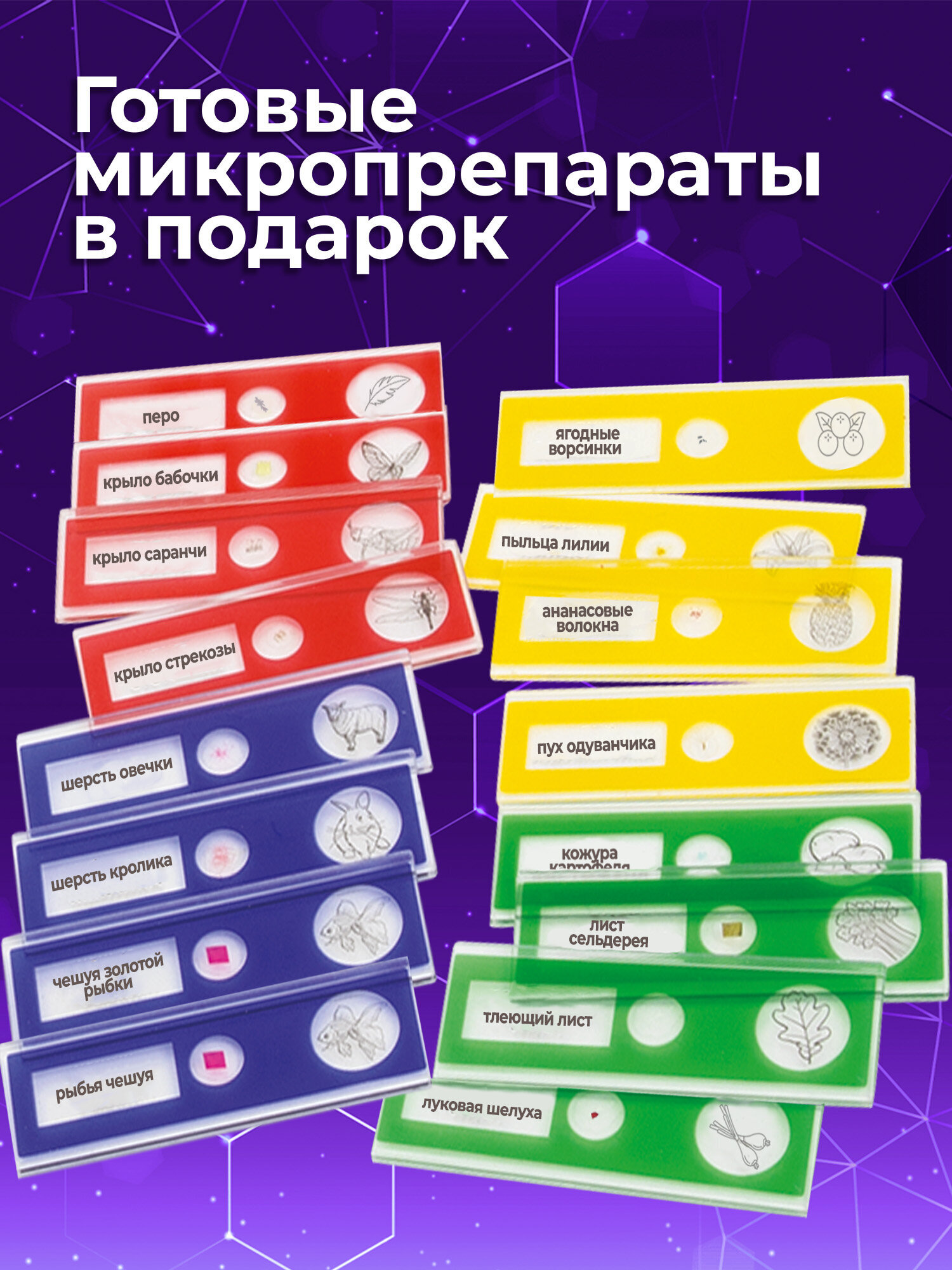 Микроскоп Brauberg - фото 4