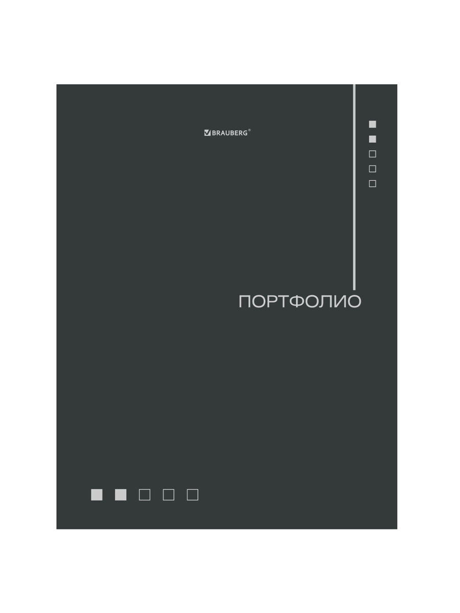 Портфолио школьника Brauberg папка А4 на кольцах 20 файлов для девочки и мальчика - фото 2