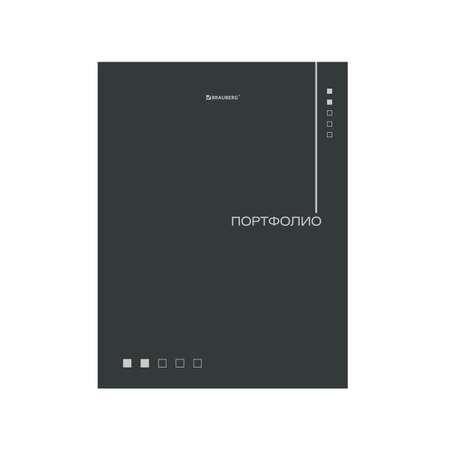 Портфолио школьника Brauberg папка А4 на кольцах 20 файлов для девочки и мальчика
