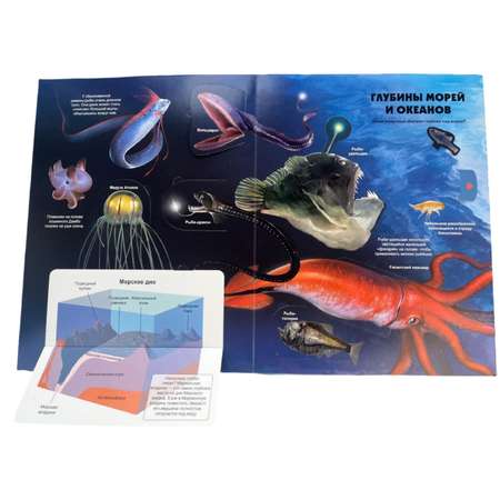 Книга Эксмо Тайны подводного мира Энциклопедия