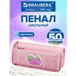 Пенал Brauberg