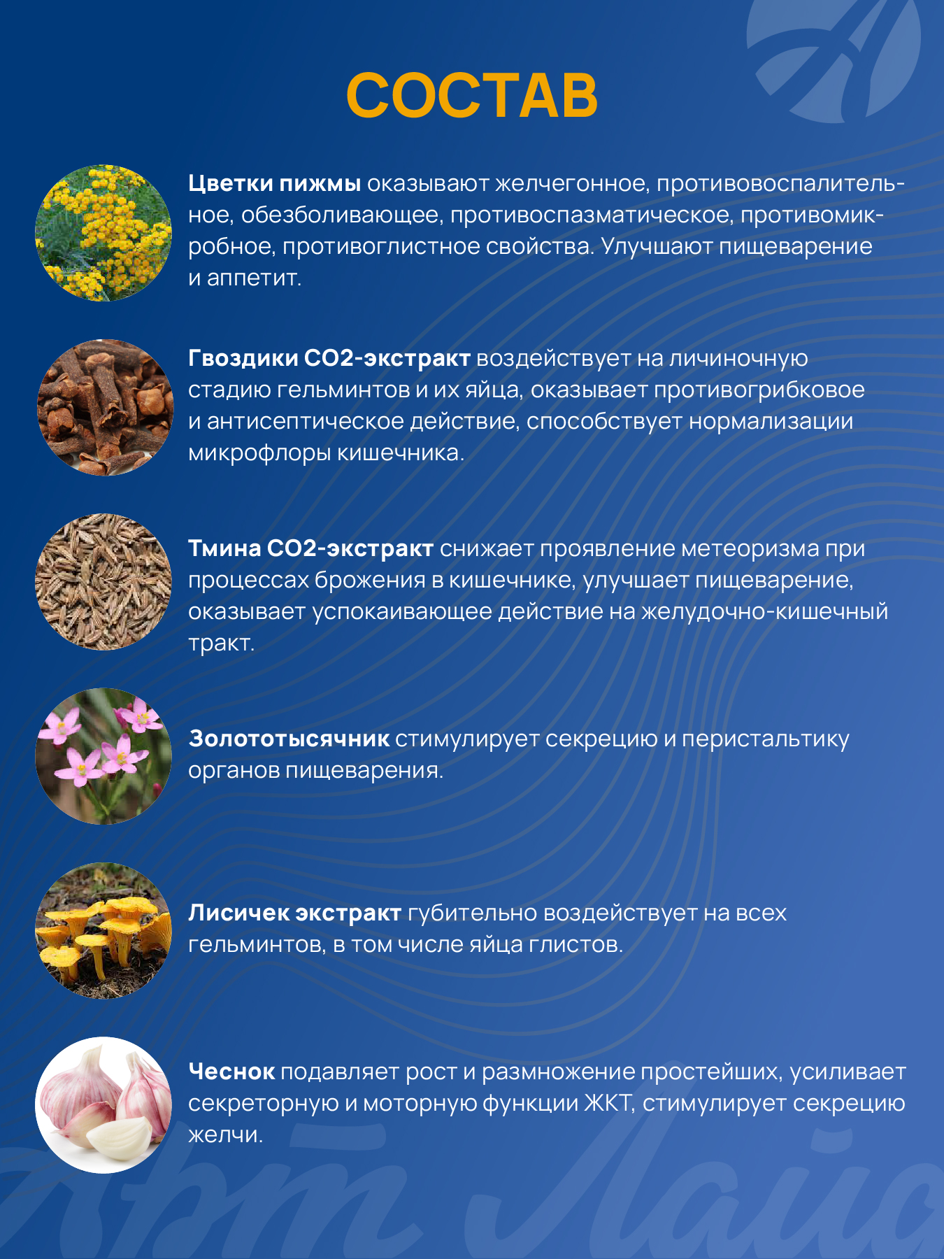 Антипаразитарный комплекс. Арт Лайф Артемизин-М, 90 таблеток. - фото 6