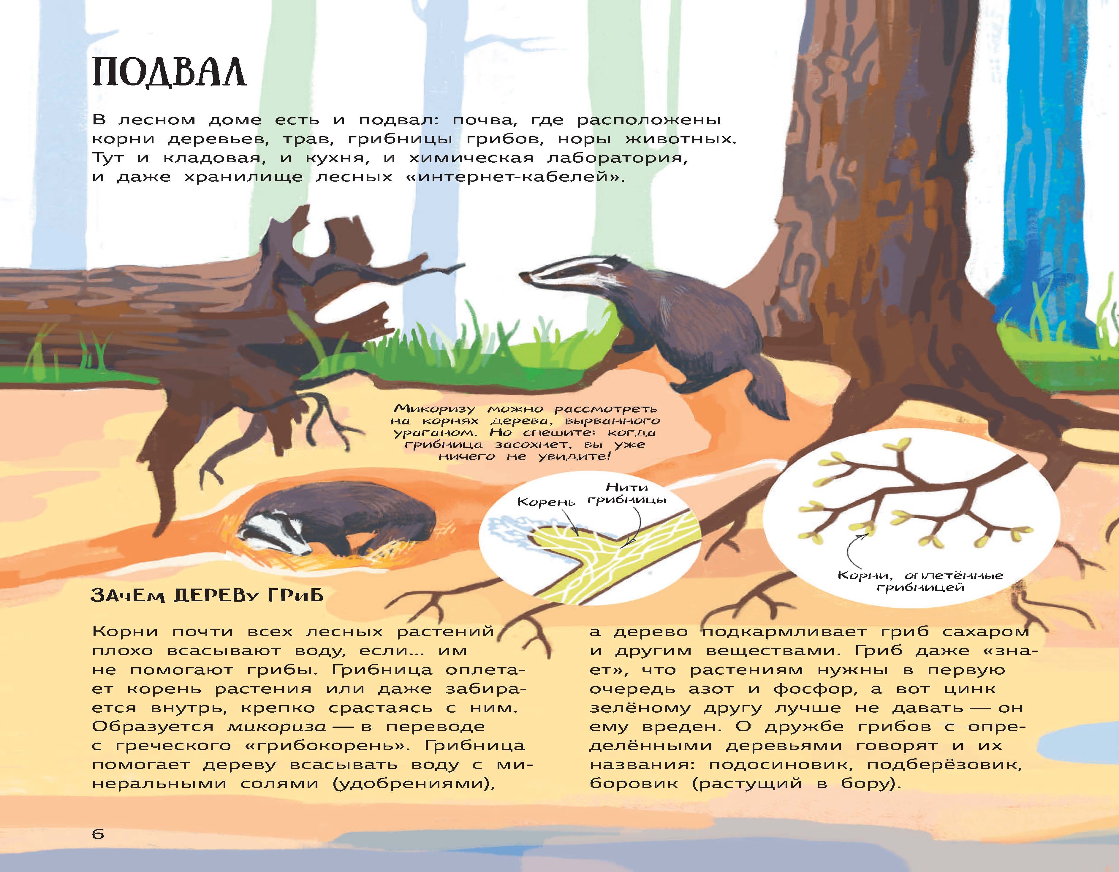 Книга Абраказябра Лес Самый умный дом на свете - фото 9