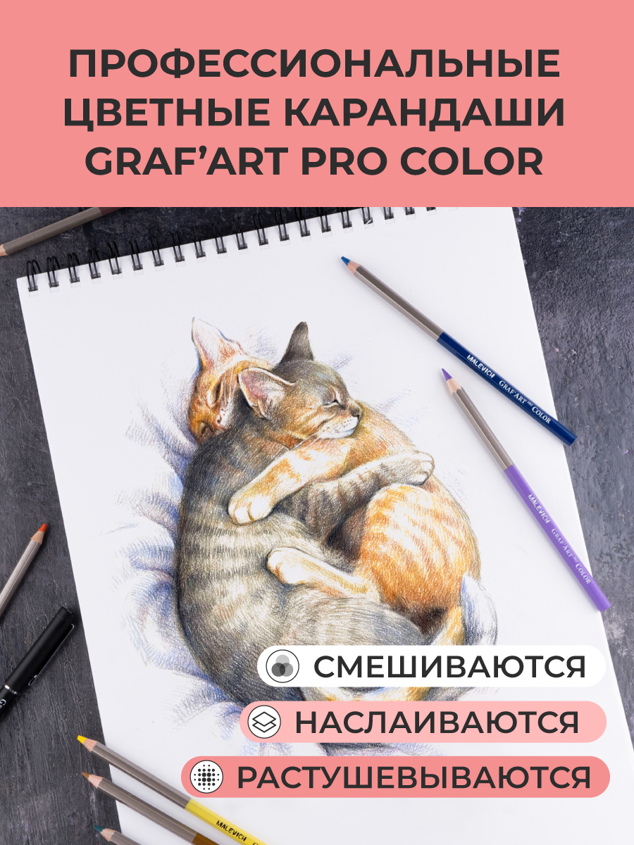 Карандаши Малевичъ - фото 5