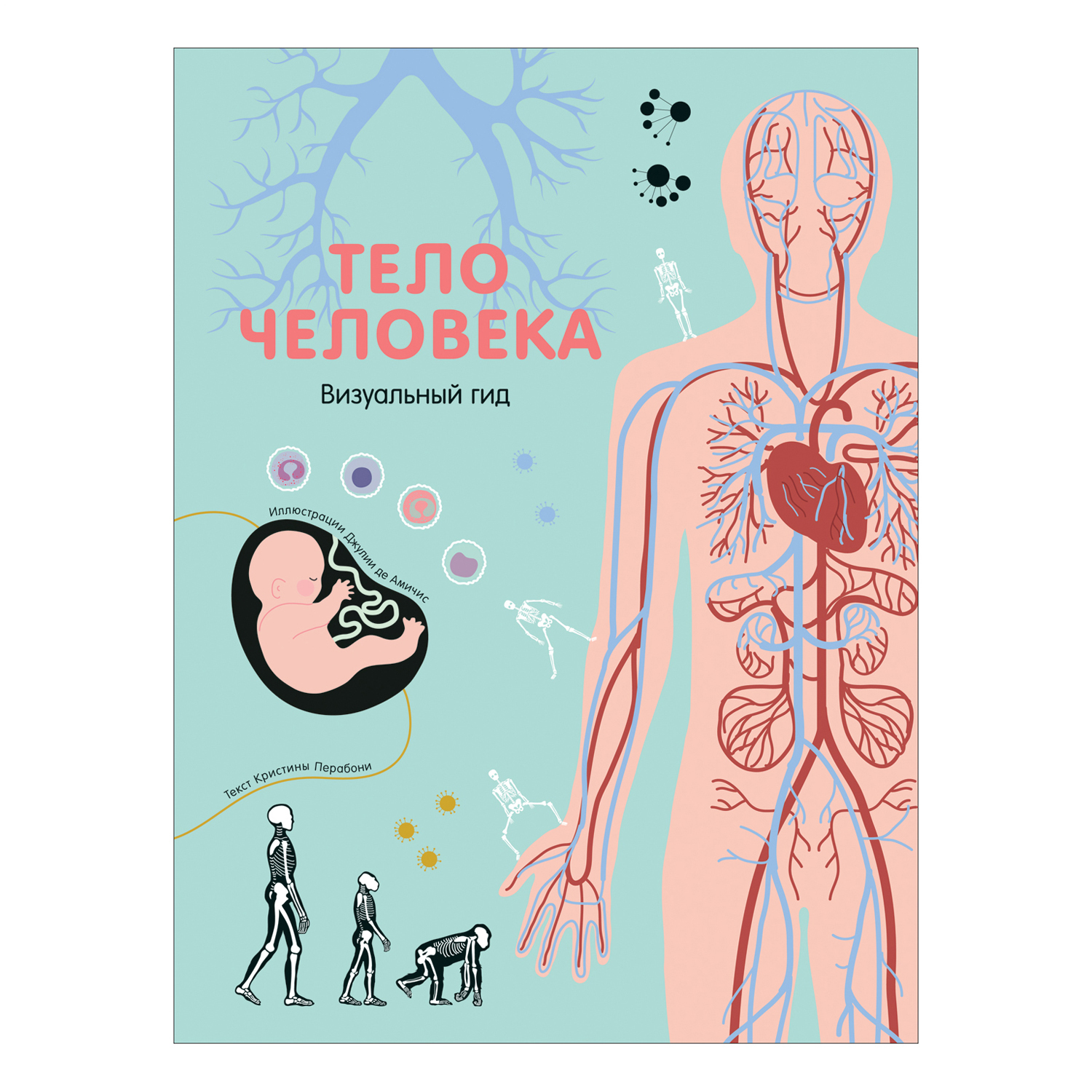 Книга Росмэн Тело человека Визуальный гид - фото 1