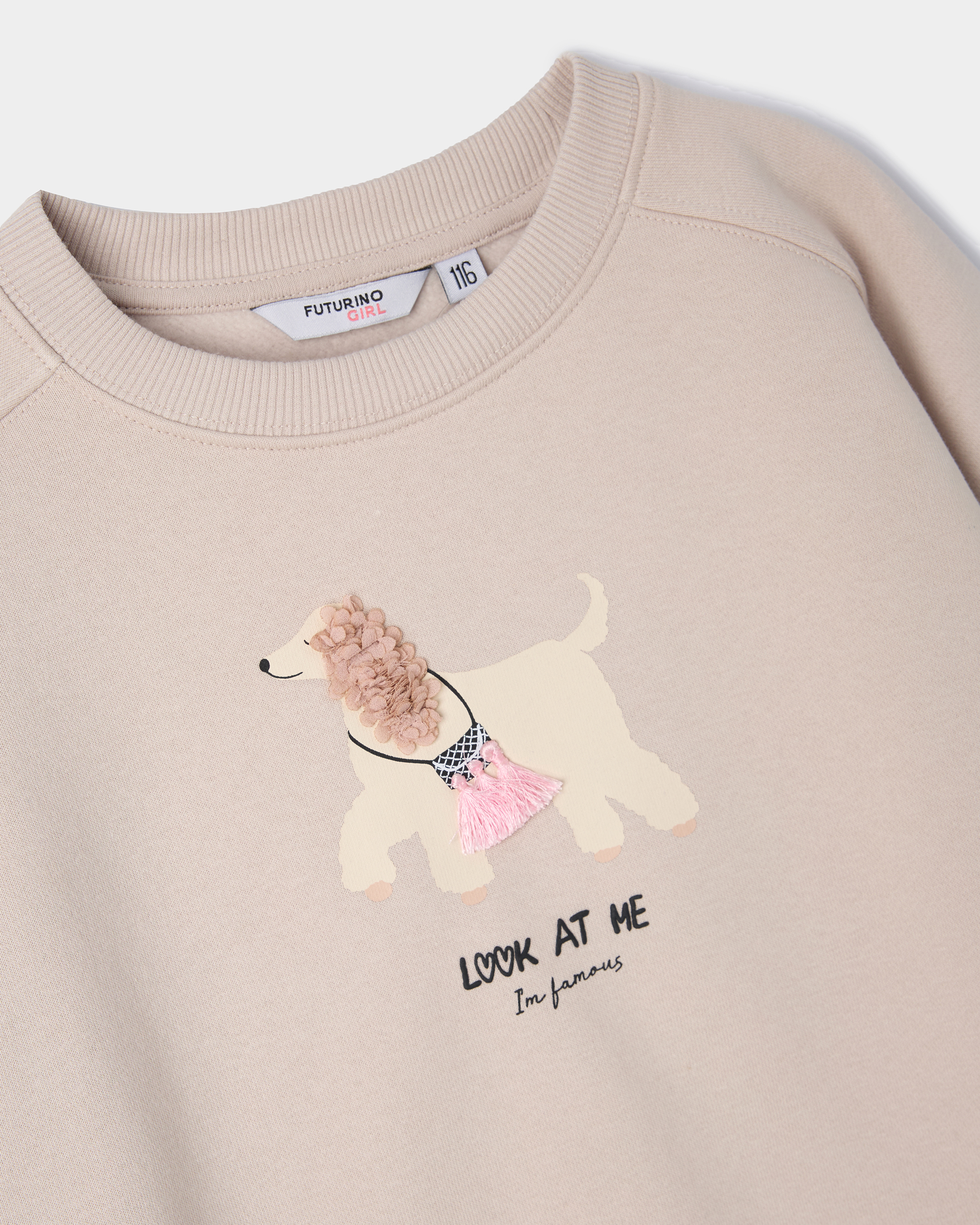 Свитшот Futurino FG-SS26-115sFUkg-L2 - фото 4