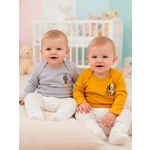 Лонгслив 2 шт Совенок Дона