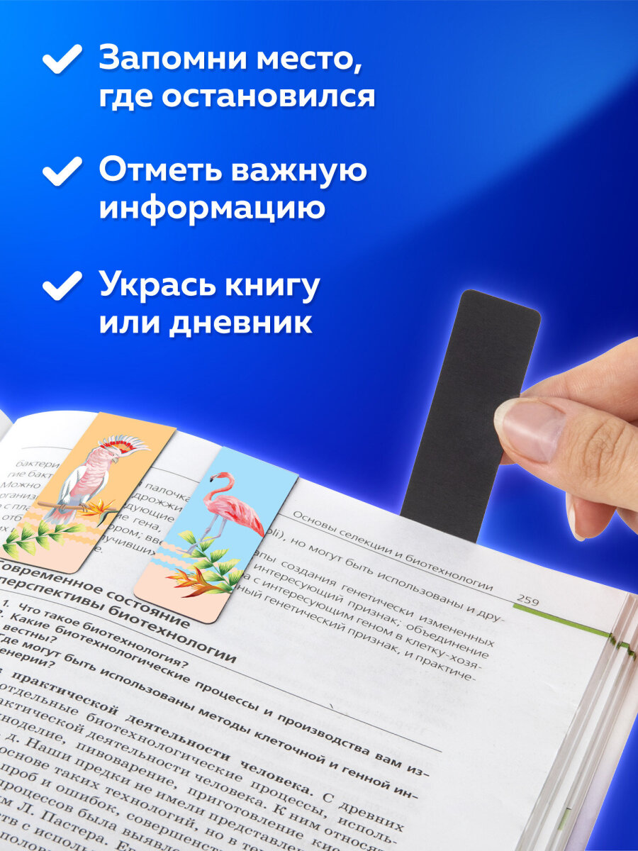 Магнитная закладка Brauberg - фото 3