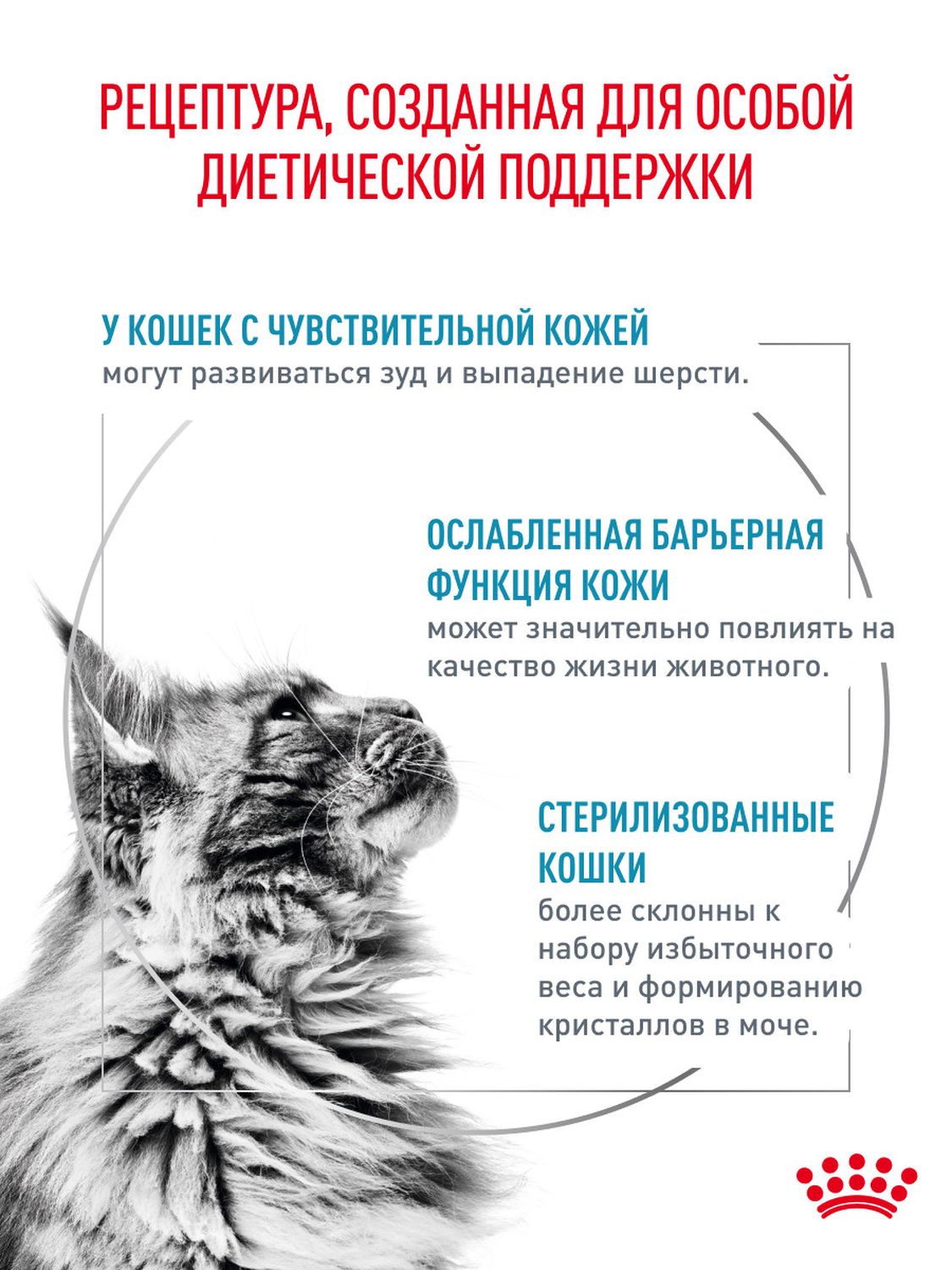Корм для кошек влажный ROYAL CANIN Skin and Coat для поддержания здоровья кожи и шерсти 85г - фото 2