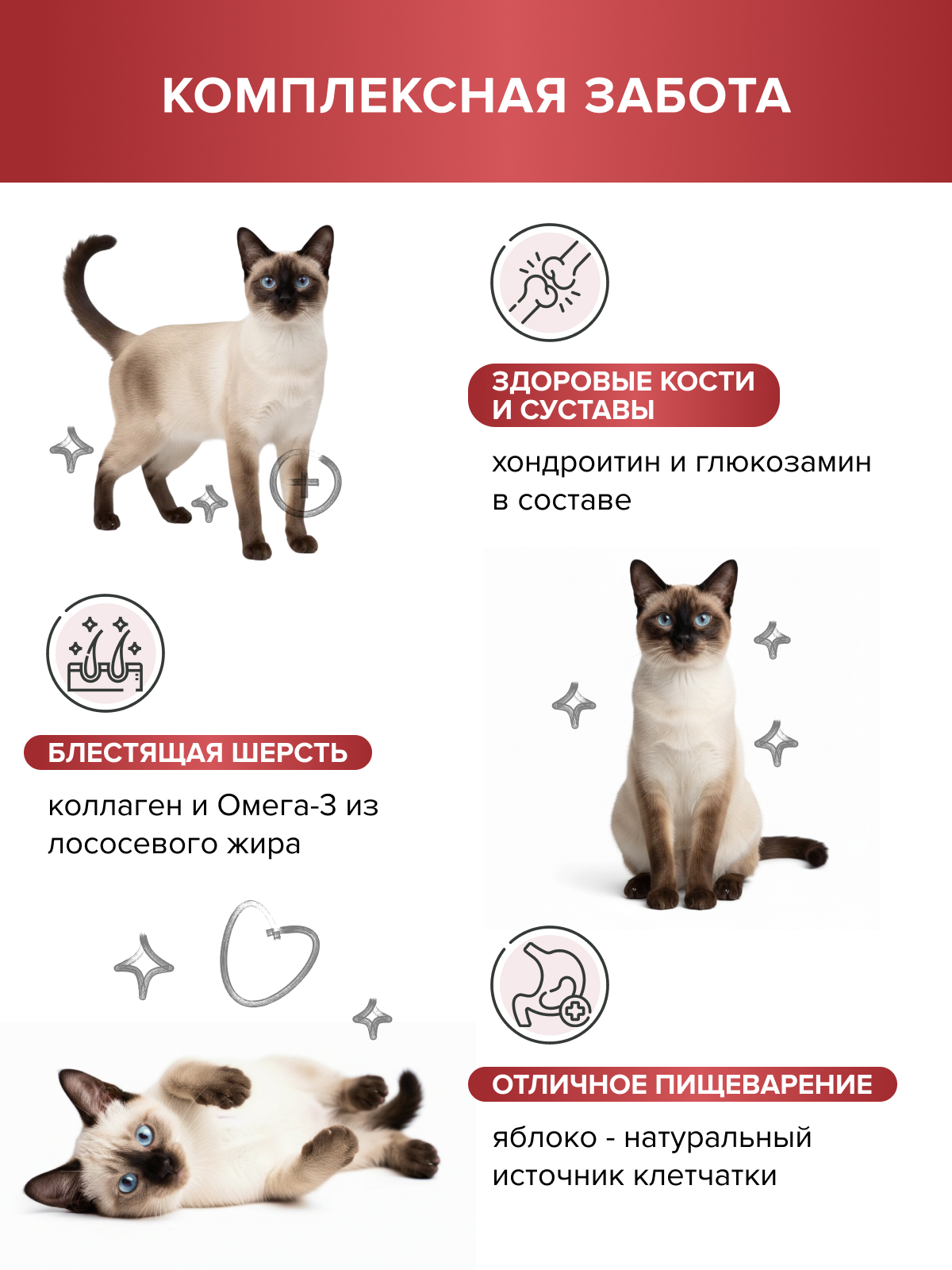 Корм для кошек DOCTRINE сухой с индейкой, ягненком и рисом 2 кг - фото 2