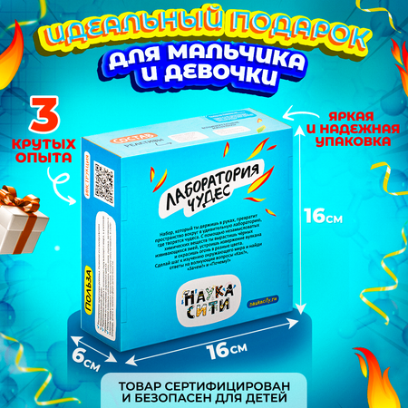Набор для опытов Наукасити