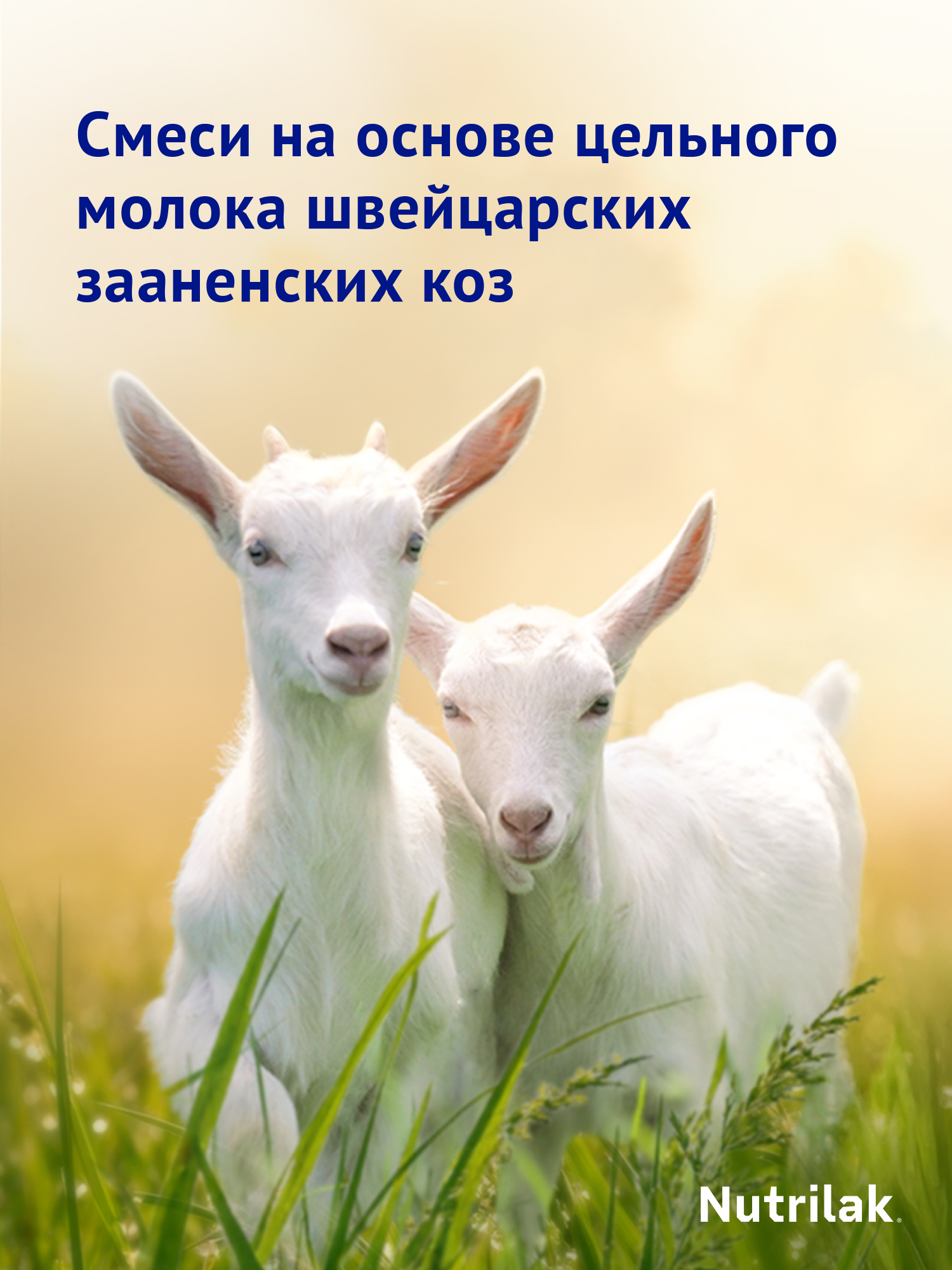 Смесь молочная сухая Нутрилак (Nutrilak) 2 Premium на козьем молоке 600г - фото 8