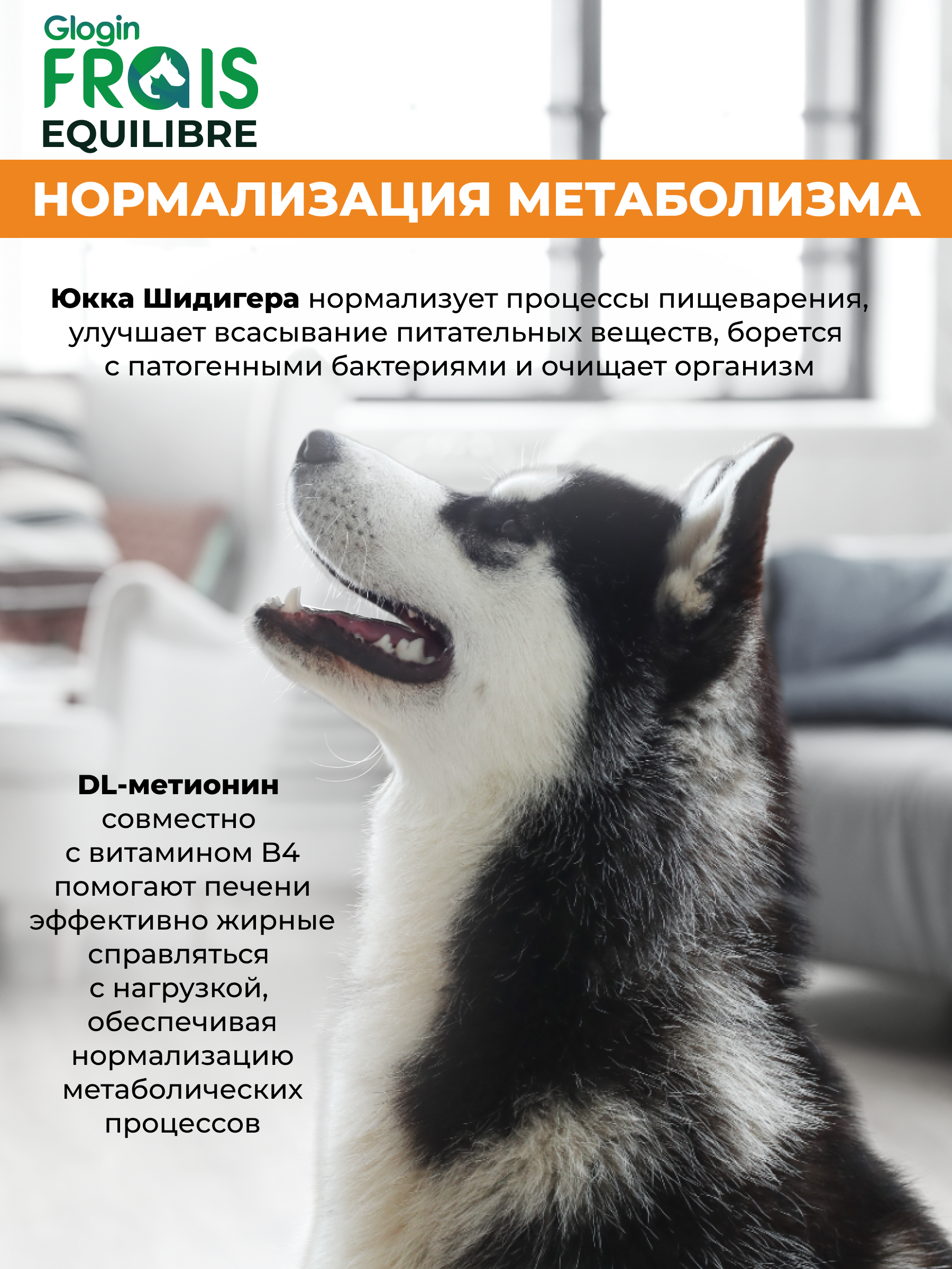 Сухой корм Frais Cухой корм для собак Frais EQUILIBRE HYPOALLERGENIC с индейкой 10кг - фото 6