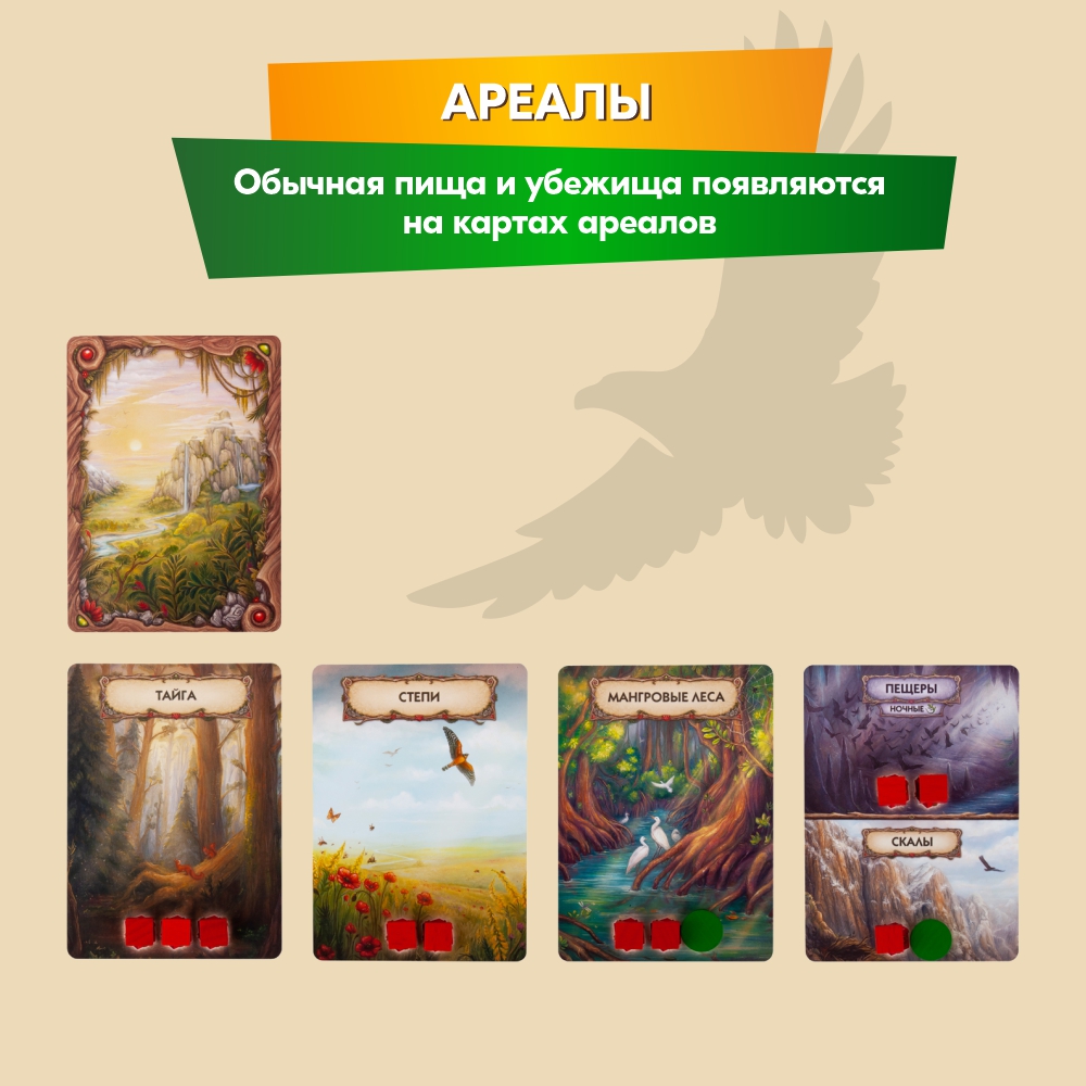 Настольная игра Правильные Игры Эволюция Новый мир - фото 13