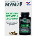 Концентрат пищевой Алтайские традиции Мумиё премиум с лецитином и витамином С 60 капсул