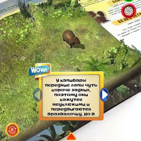 Книга DEVAR 4D. Знакомство с животными