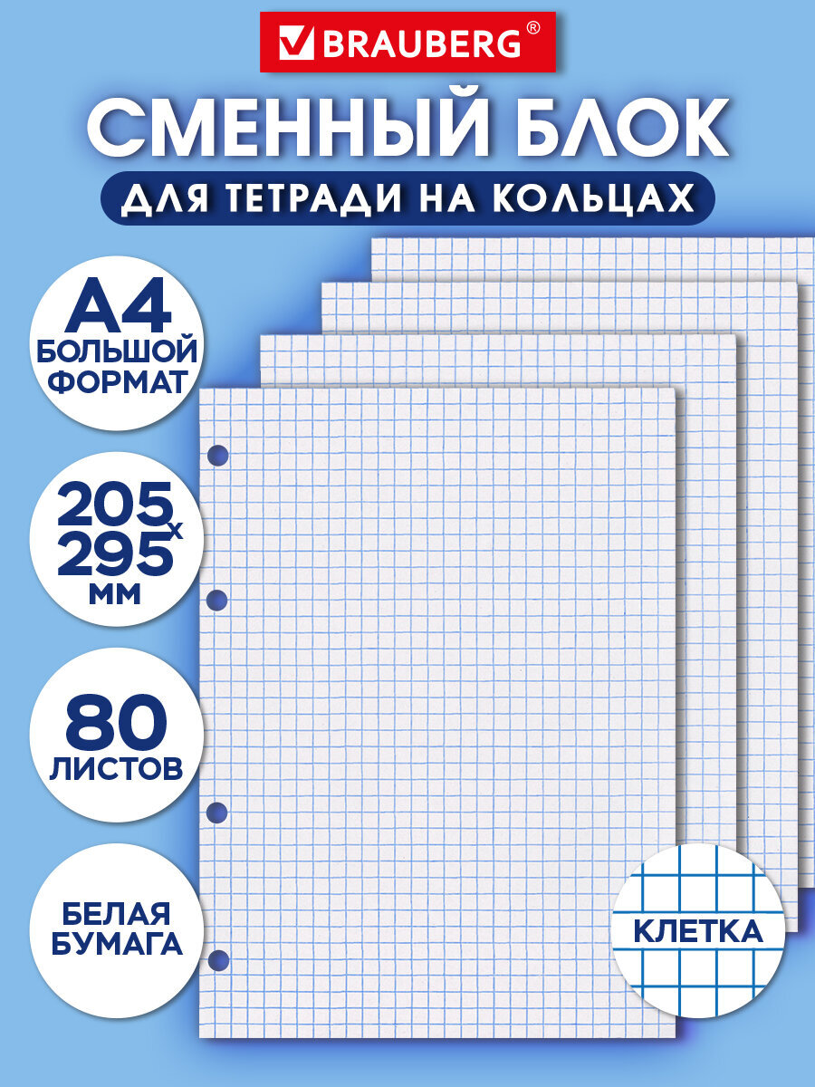 Тетрадь со сменным блоком Brauberg клетка 80 лист. - фото 1