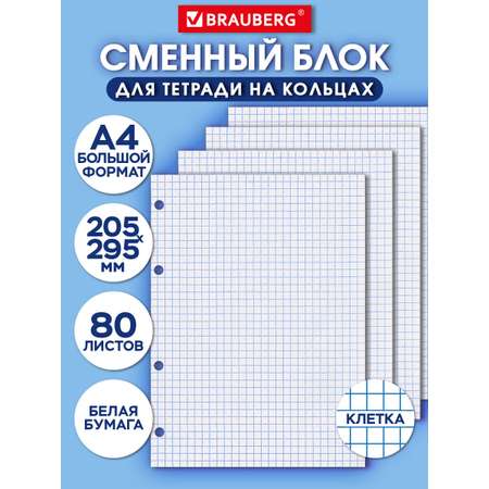 Тетрадь со сменным блоком Brauberg клетка 80 лист.