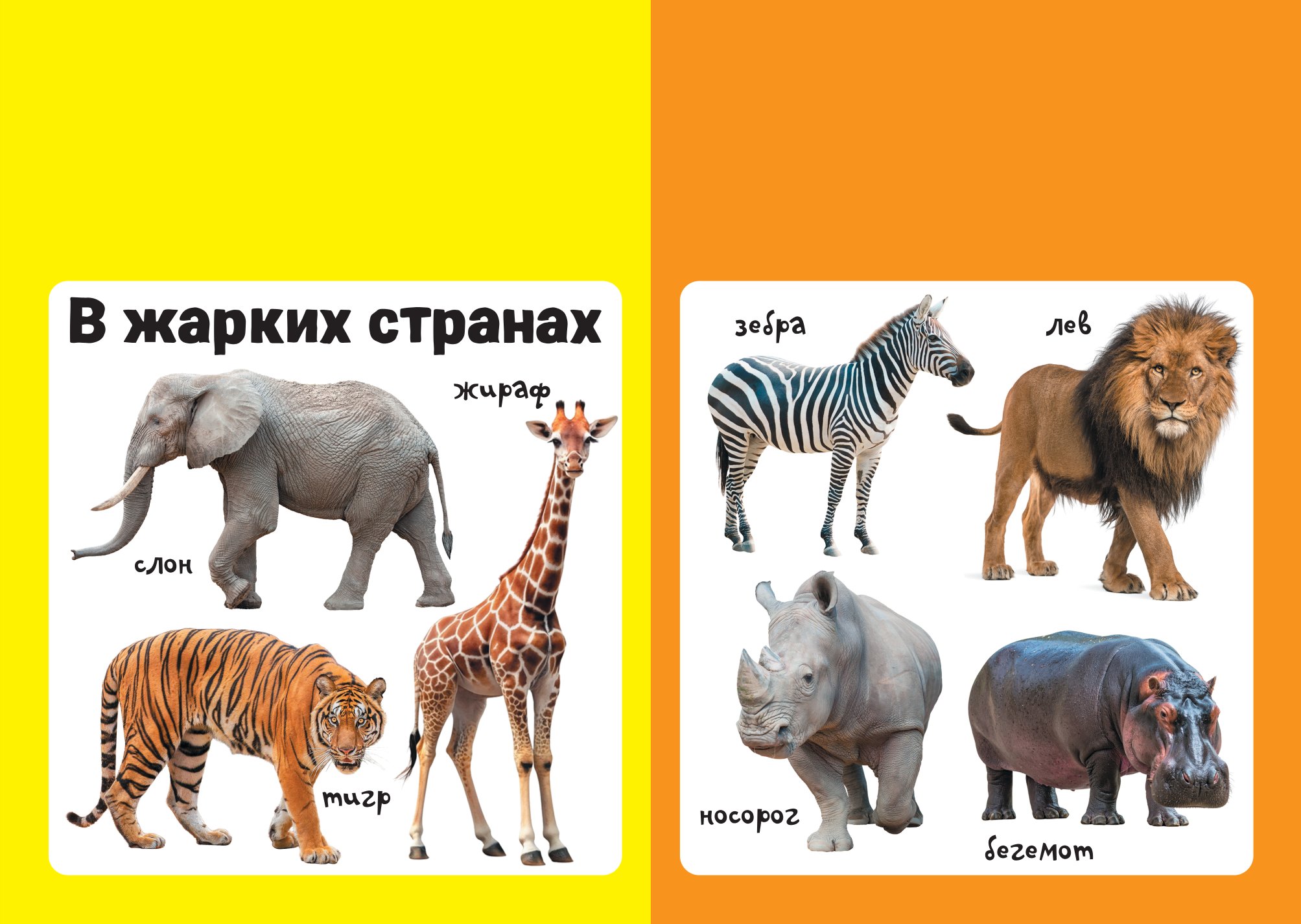 Книга АСТ Мягкая книжка для малыша Животные - фото 4