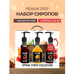 Набор сиропов SPOOM Глинтвейн Манго пряный Персидские специи для кофе 3шт 250мл + 3 дозатора