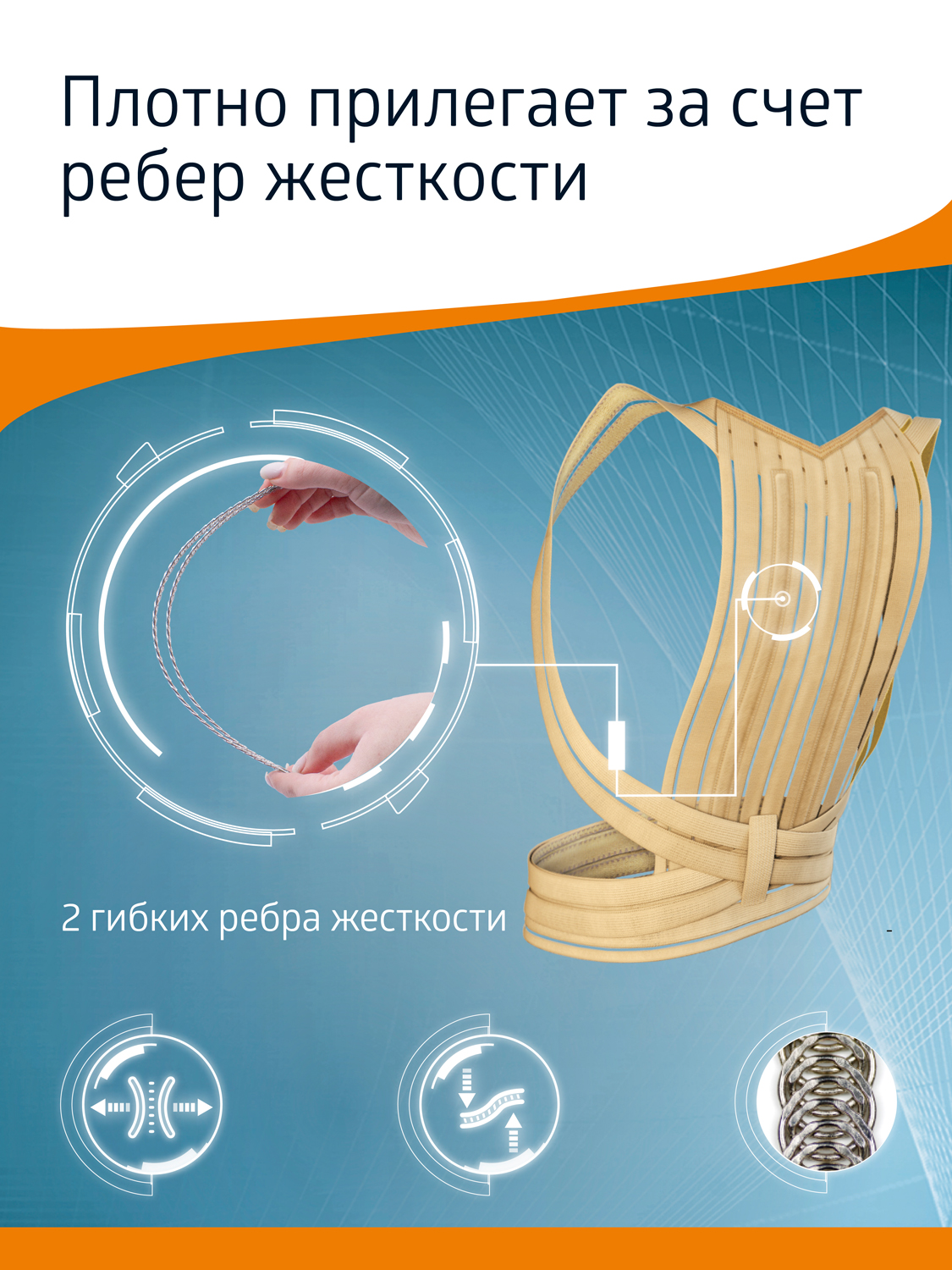 Корректор осанки W-131 B.Well W-131 - фото 3