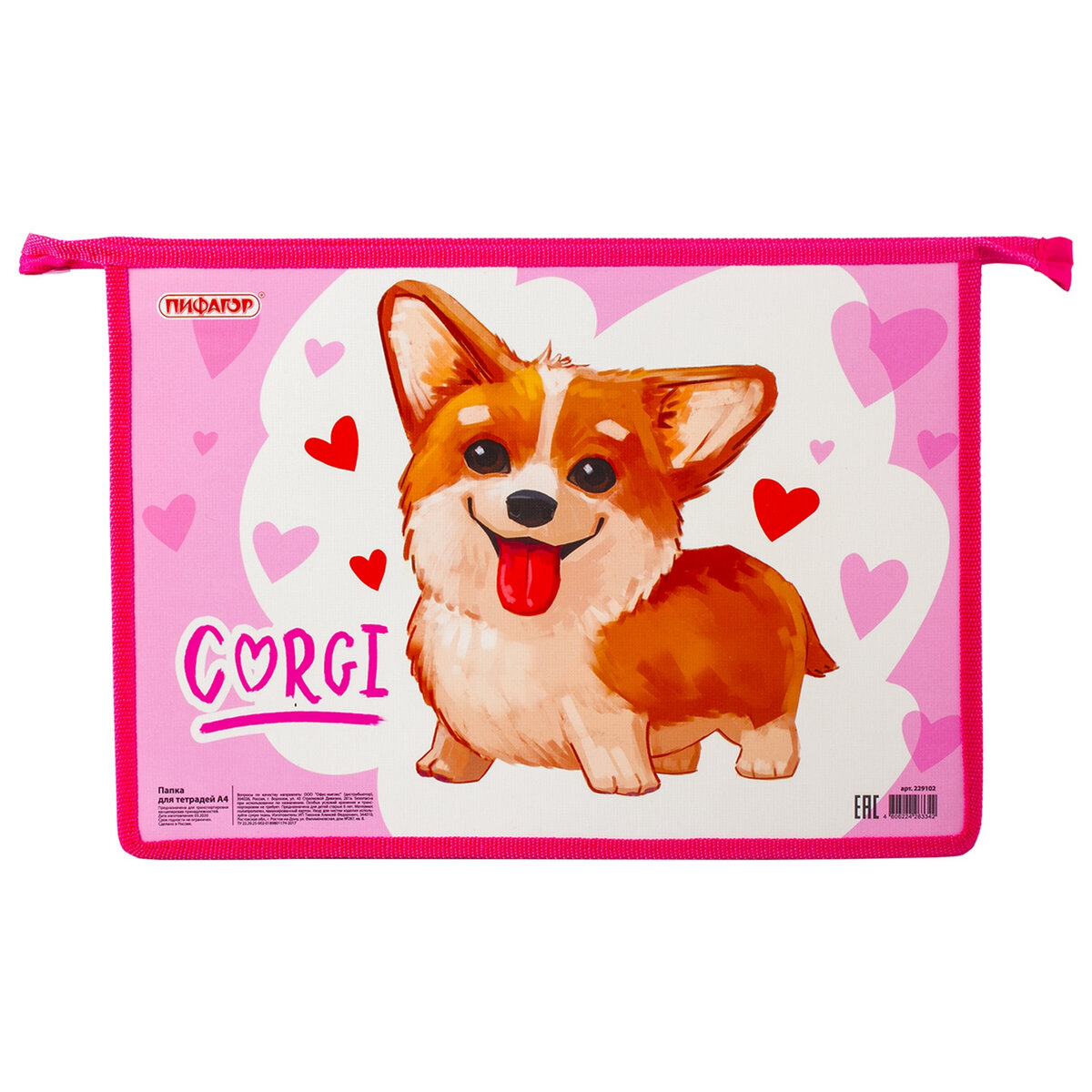 Папка для тетрадей Пифагор А4 - фото 1