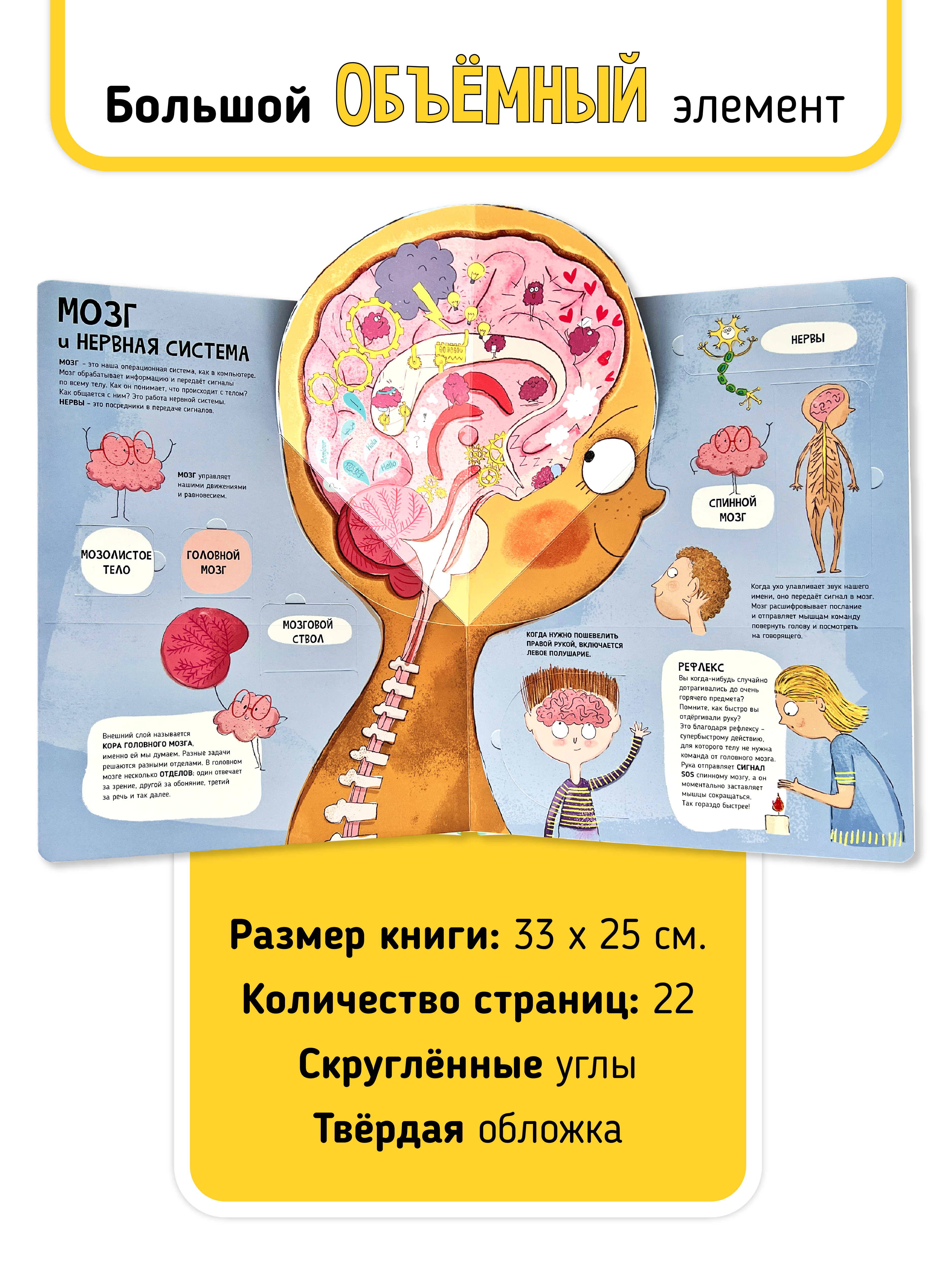 Познавательная развивающая книга Счастье внутри с окошками и интерактивными страницами для детей Тело человека - фото 3