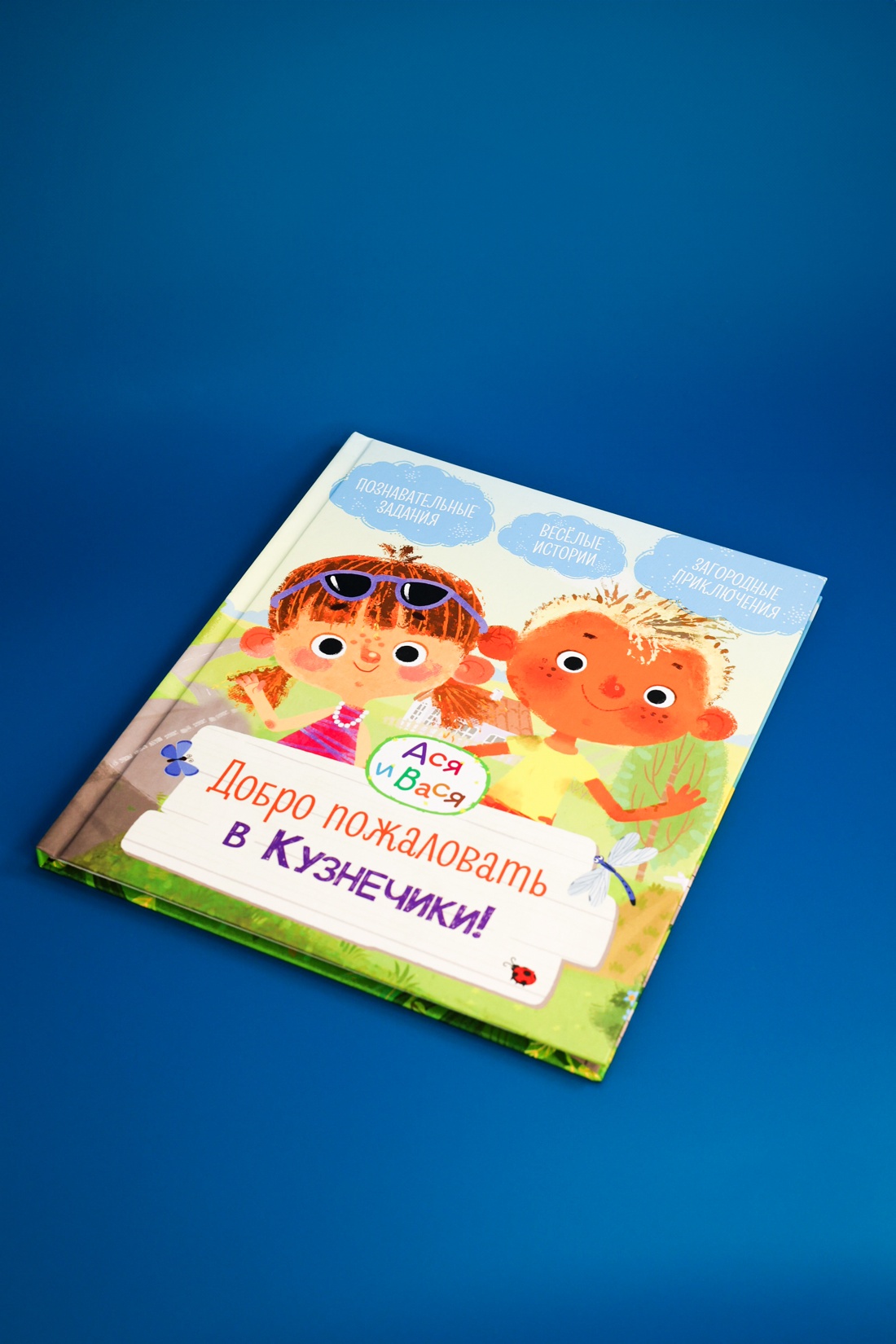 Книга Махаон МУЛЬТиЧ/Кияшев С./Ася и Вася. Добро пожаловать в Кузнечики! - фото 3