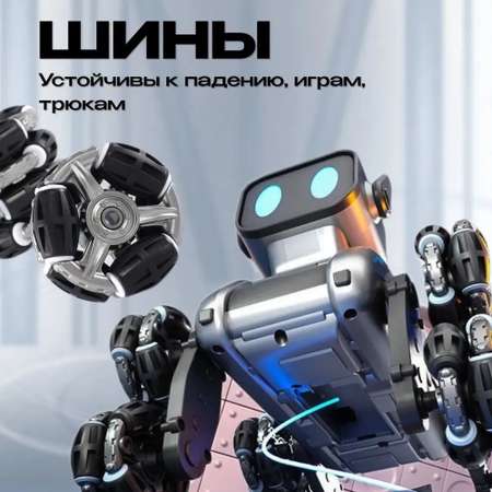 Машинка на радиоуправлении Дог