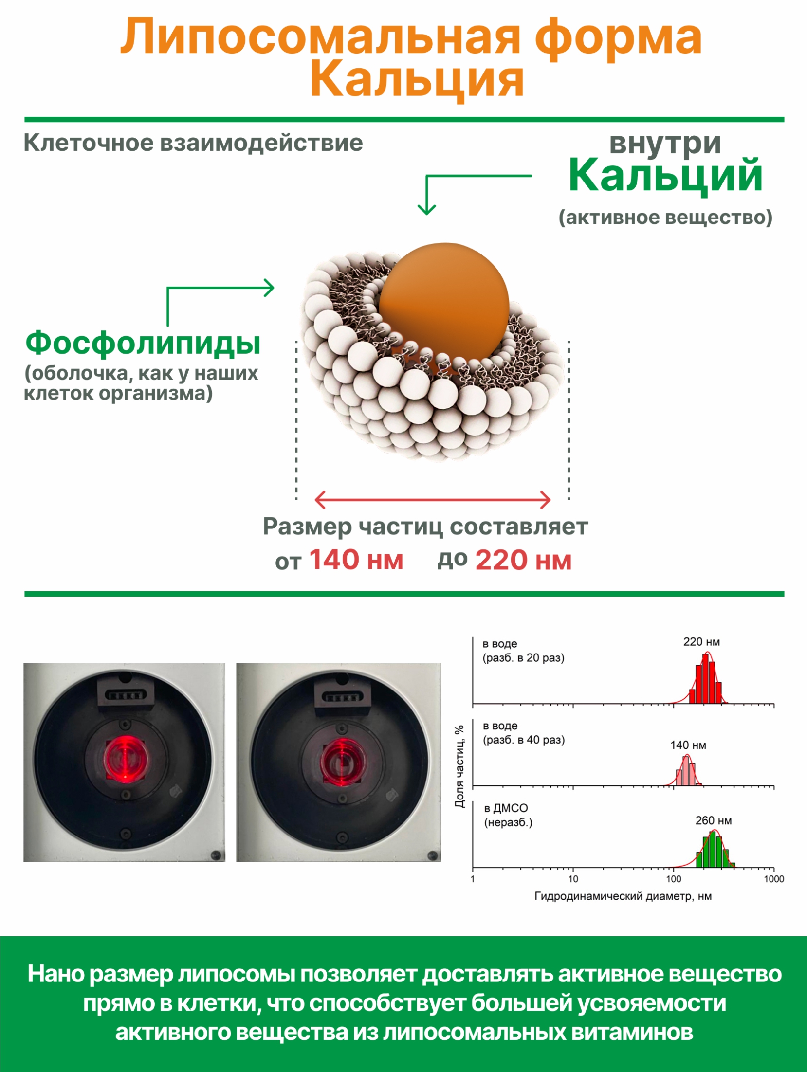 БАД Алтайские традиции Липосомальный кальций магний цинк - фото 6