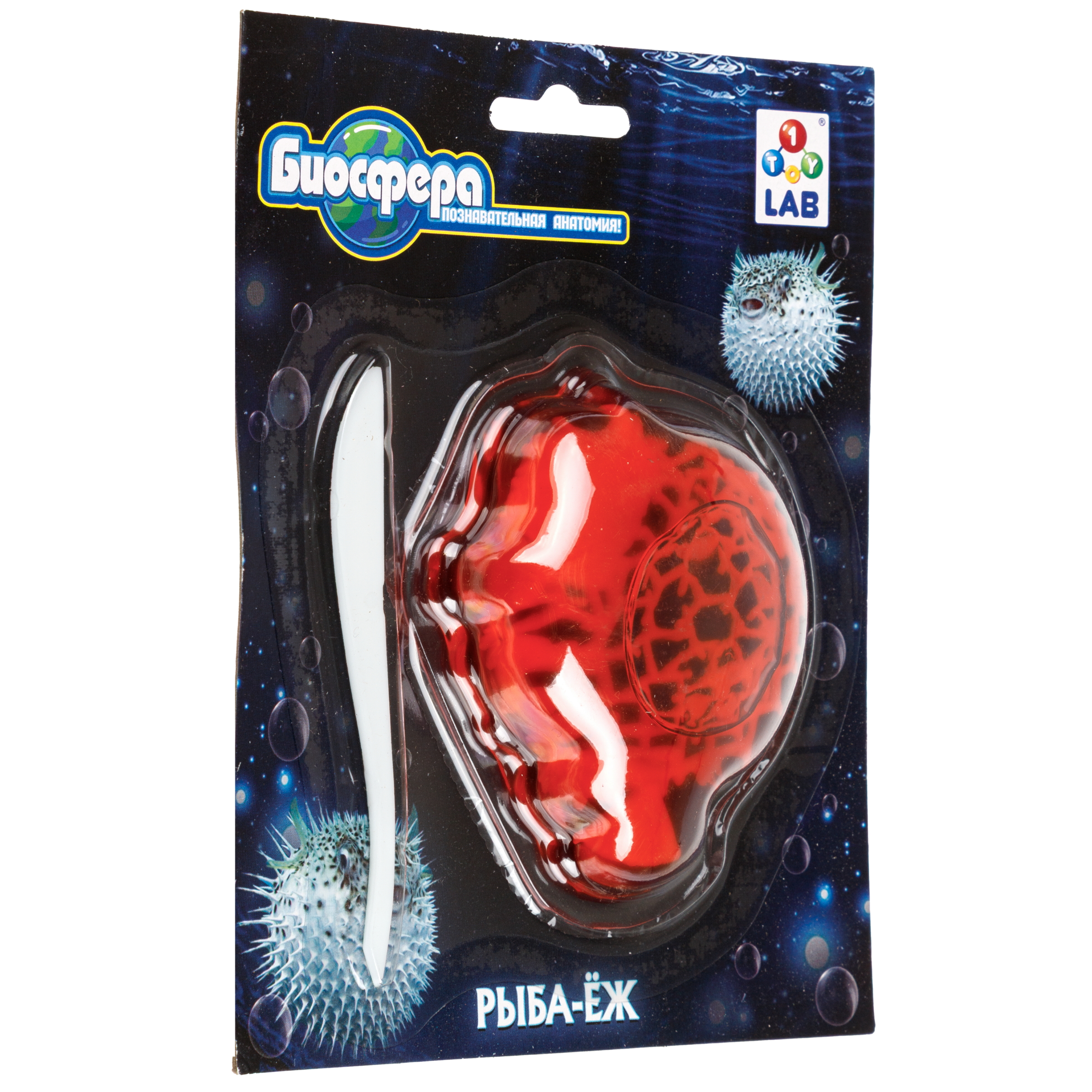 Набор для опытов 1TOY - фото 10