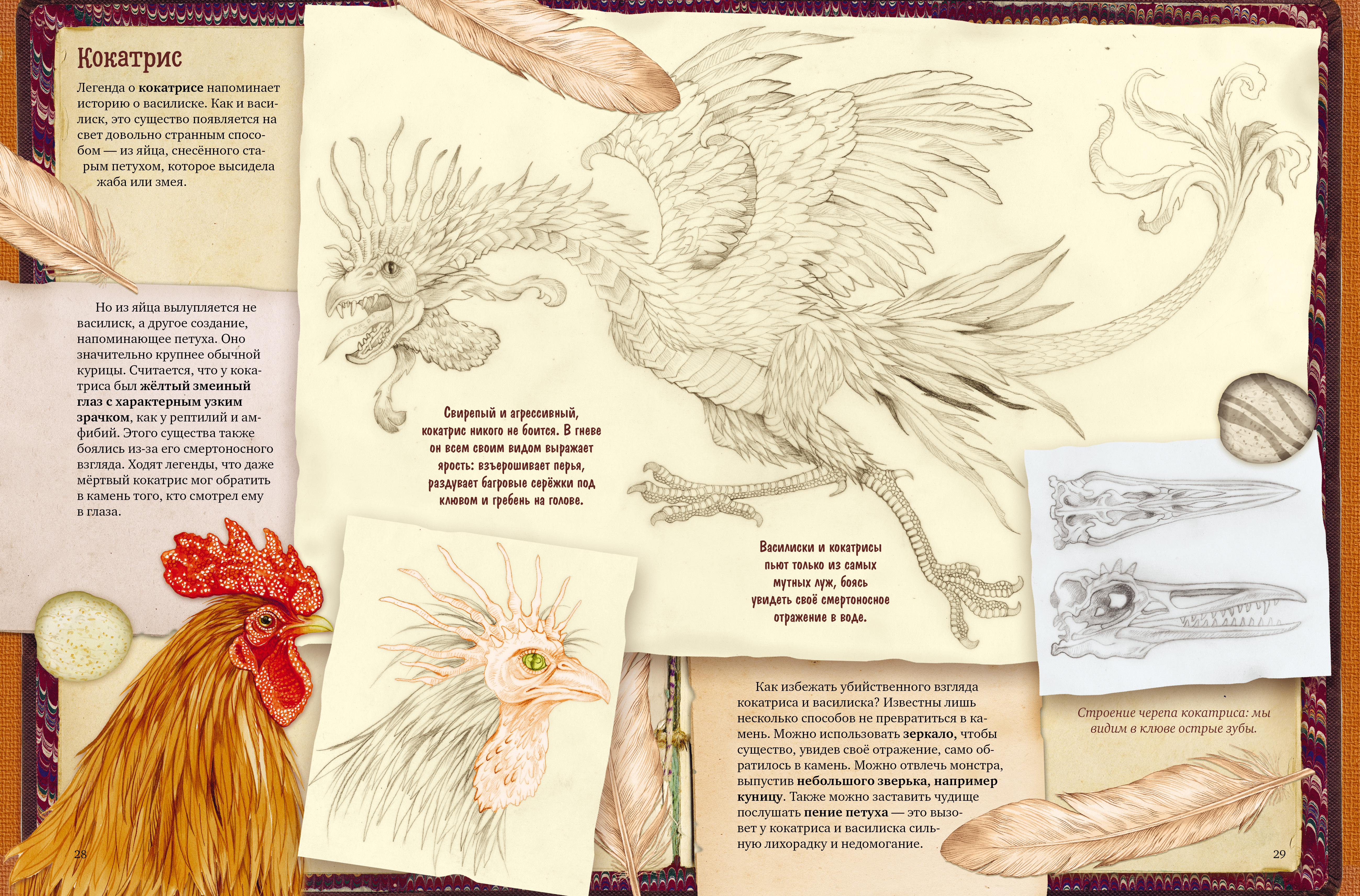 Книга Clever Легендарные драконы - фото 3