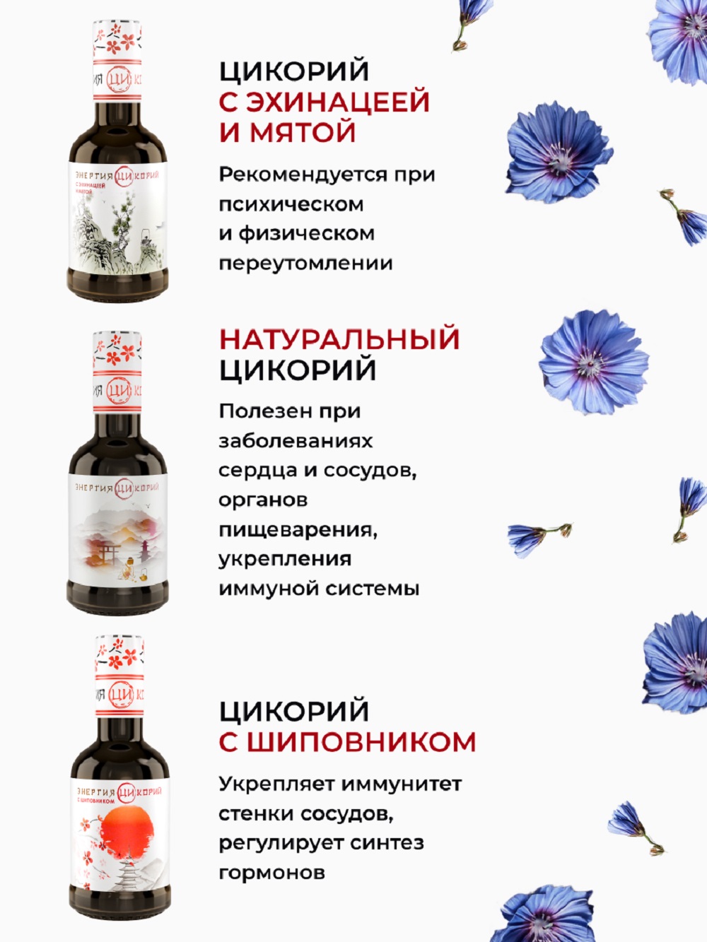 Цикорий Энергия Ци экстракт растворимый жидкий - фото 6