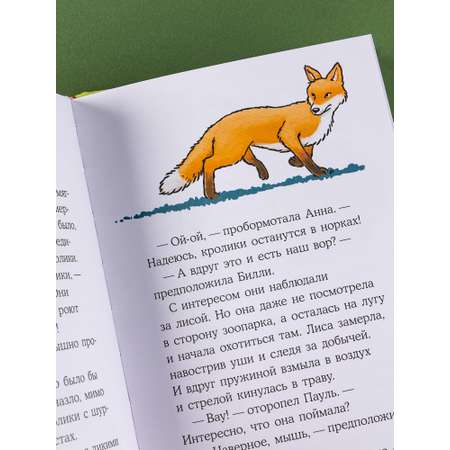 Книга Альпина. Дети Пропавший кролик