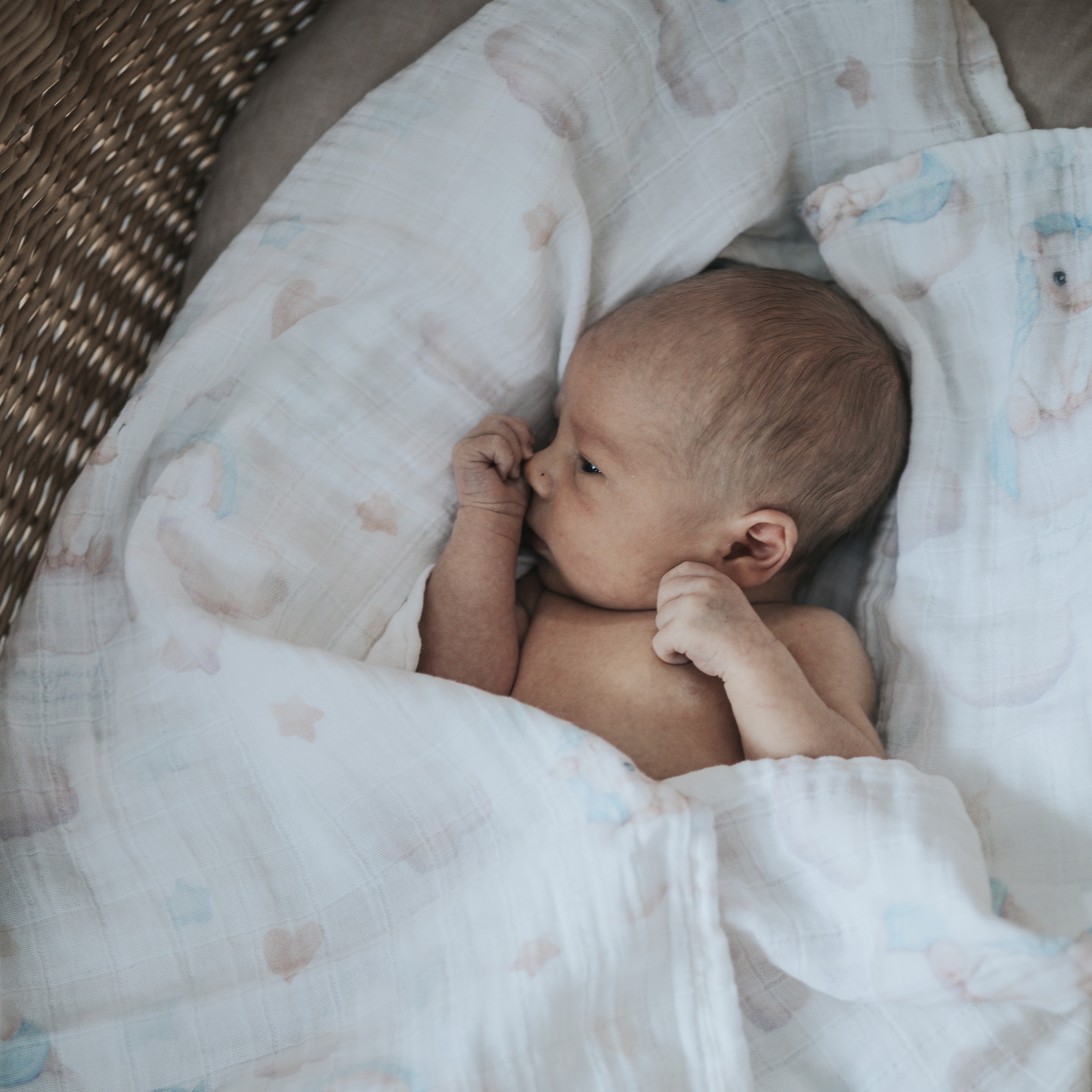 Плед НаследникЪ Выжанова Плед-пеленка 120 x 120 см хлопок - фото 3