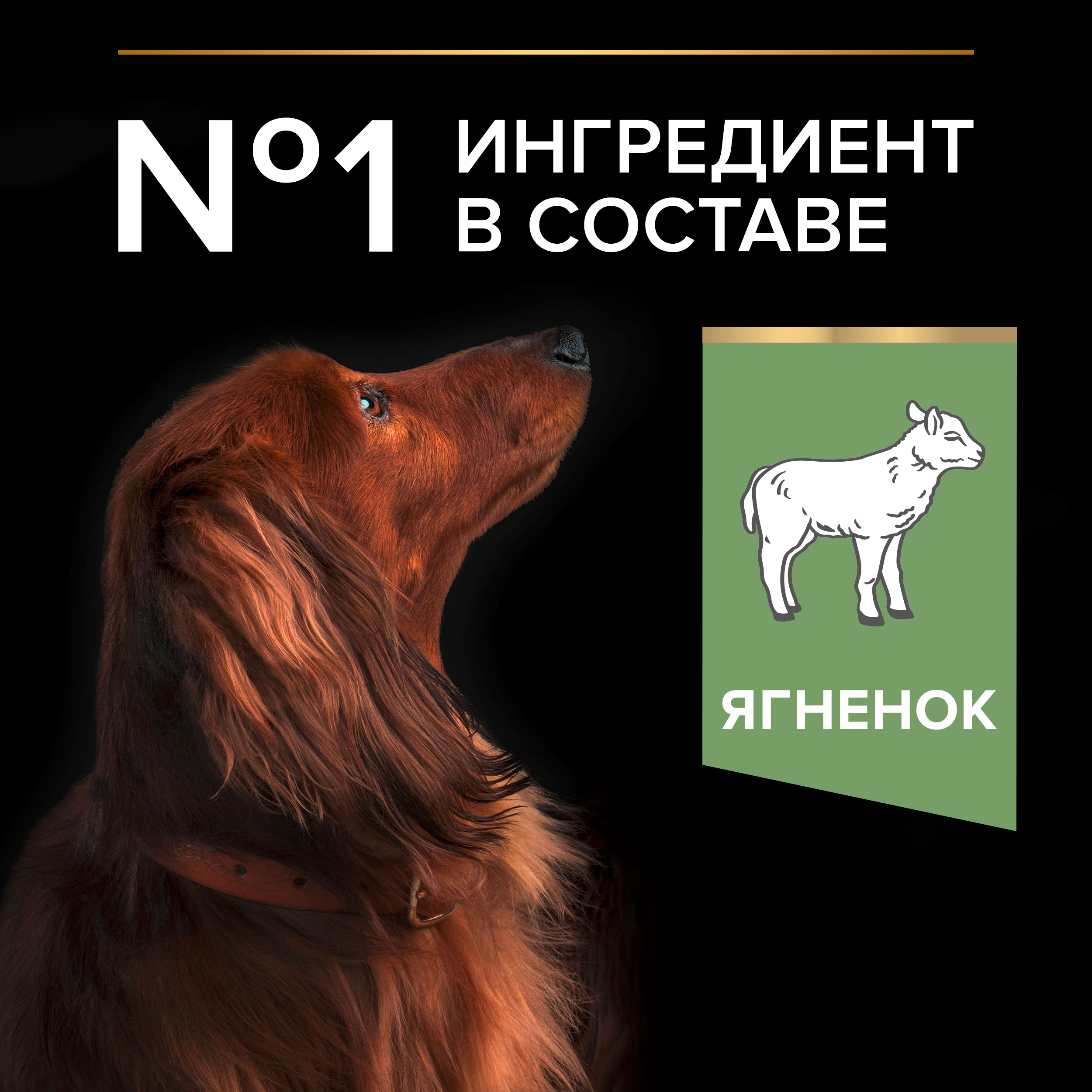 Корм сухой для собак PRO PLAN SENSITIVE DIGESTION 7 кг с ягненком для мелких пород - фото 4