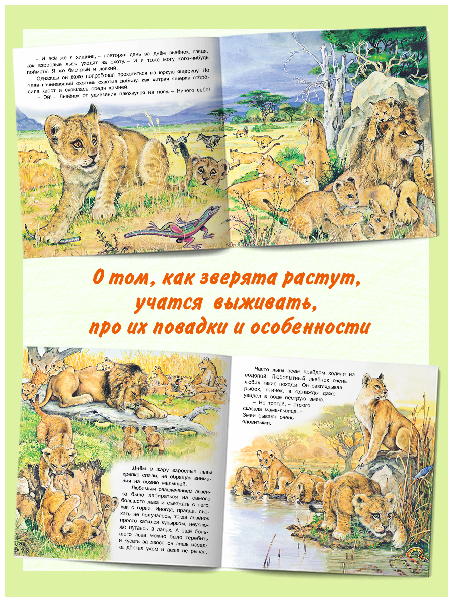 Комплект книг Фламинго Сказки для детей Рассказы о животных Приключения Бельчонка Слоненка Медвежонка Львенка - фото 2