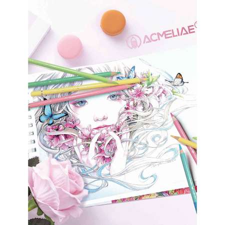 Карандаши пастельные ACMELIAE 24 шт.
