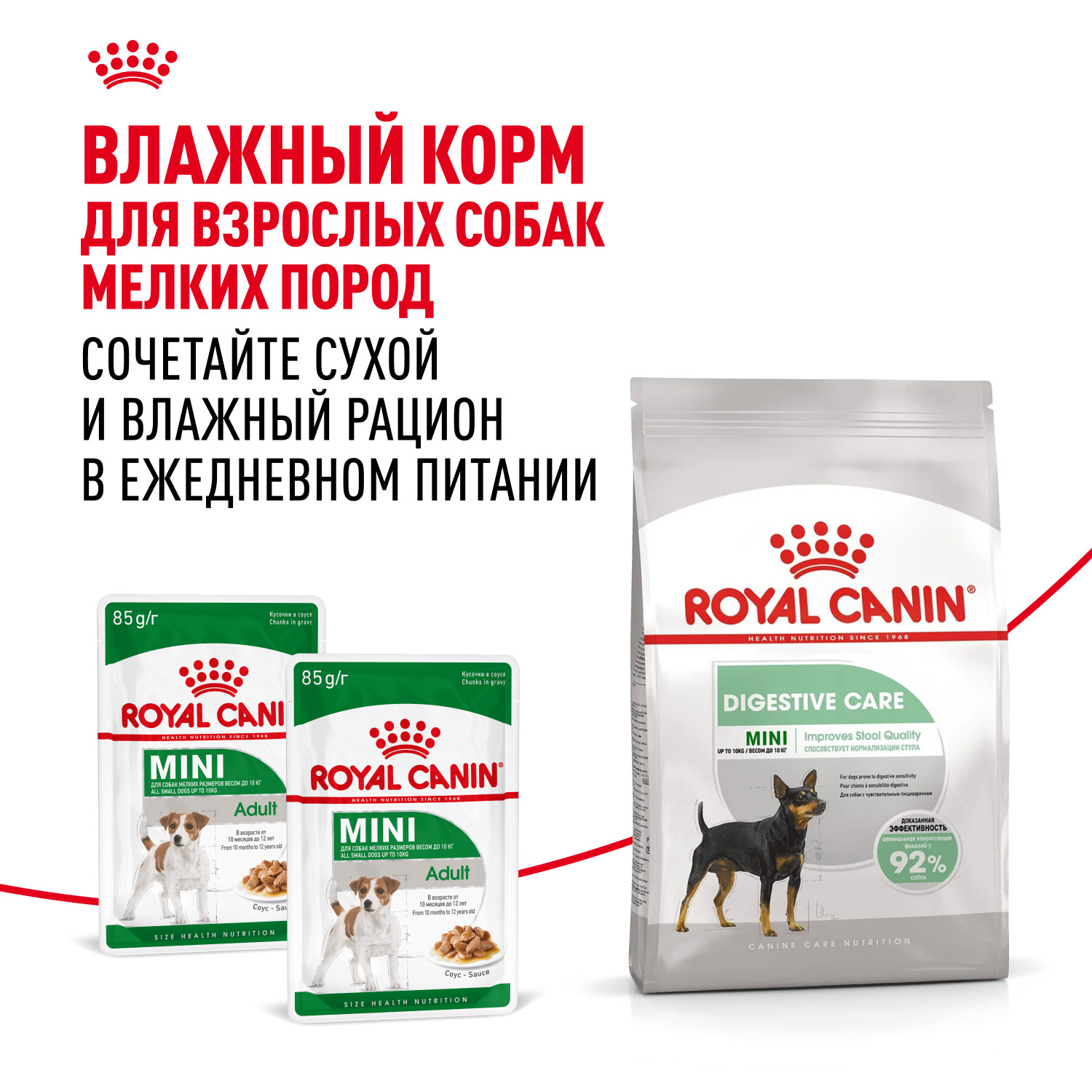 Корм для собак ROYAL CANIN Mini Digestive Care мелких пород с чувствительным пищеварением 3кг - фото 9