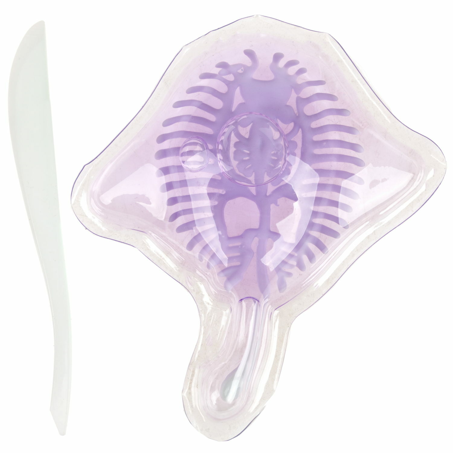 Набор для опытов 1TOY Скат - фото 2