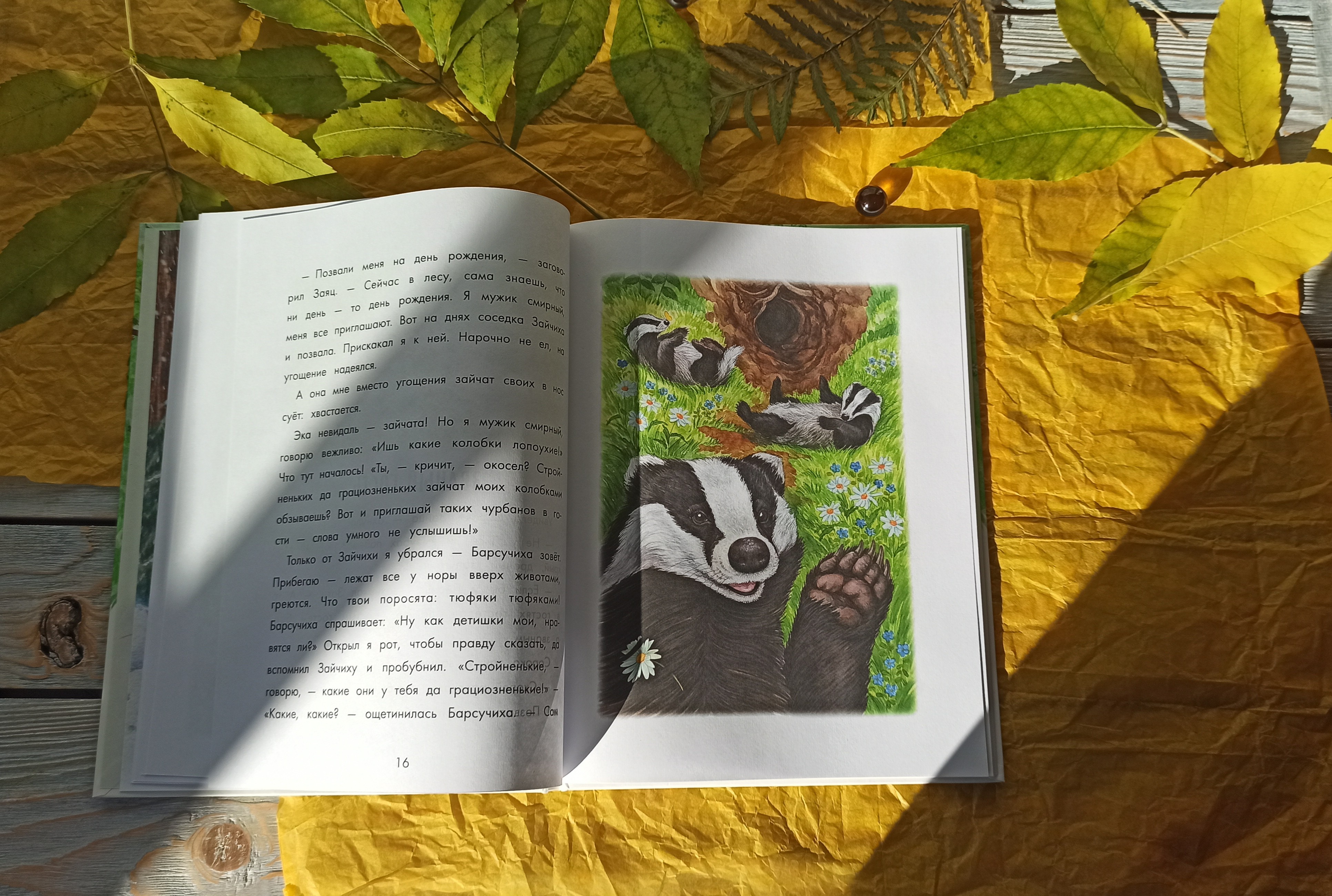 Книга Качели Бюро лесных услуг - фото 8