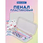 Пенал футляр Brauberg