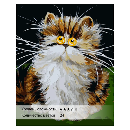 Картина по номерам Ты Гений! Пушистый котофей