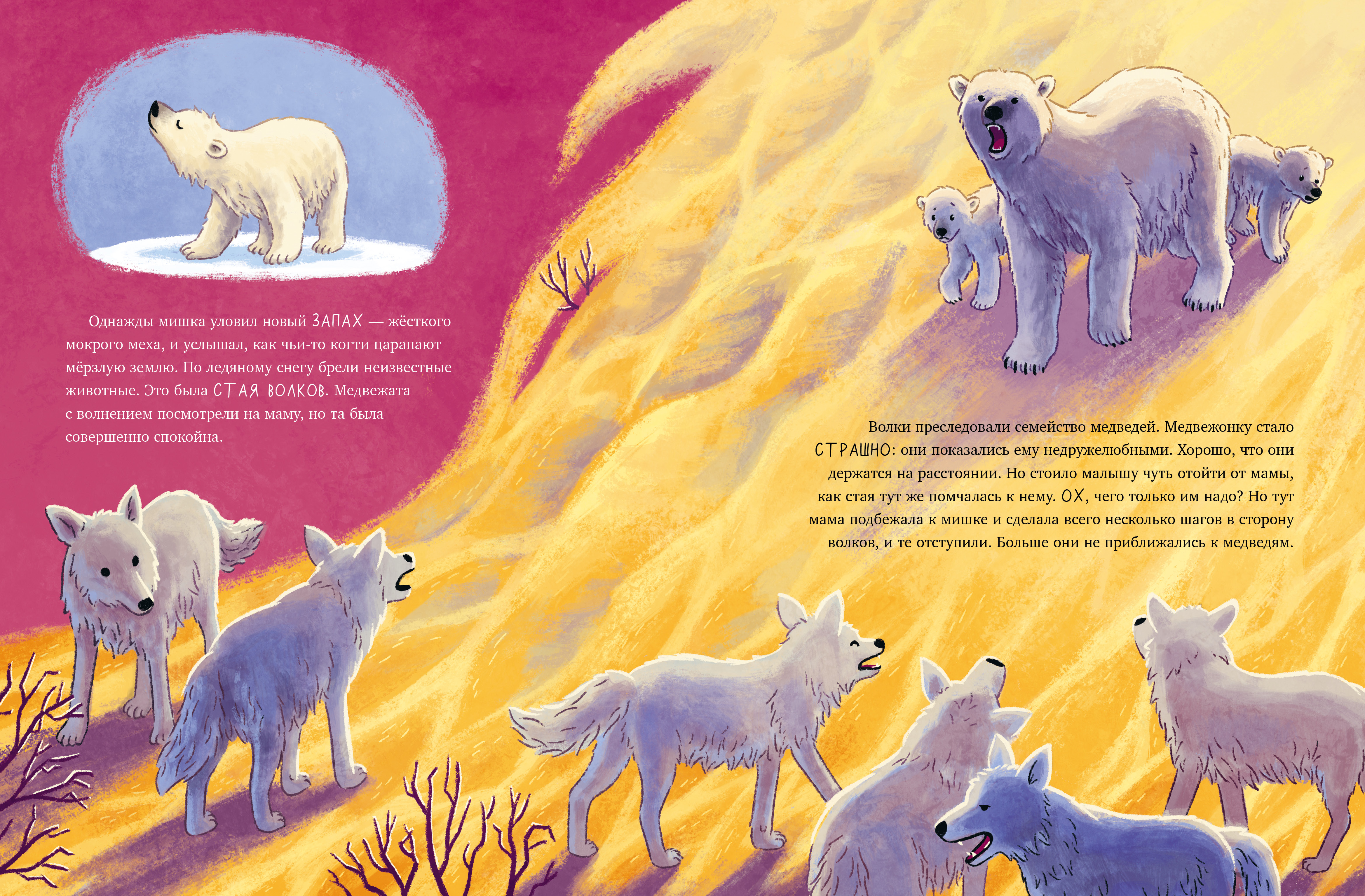 Удивительные животные Clever Белый медвежонок. Приключения в Арктике - фото 3