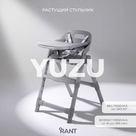 Стульчик для кормления Rant серый