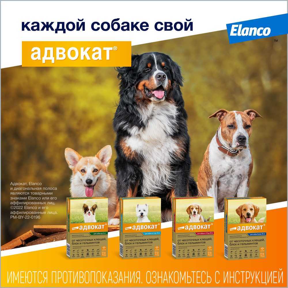 Капли для собак Elanco Адвокат более 25кг антипаразитарные 1пипетка - фото 10