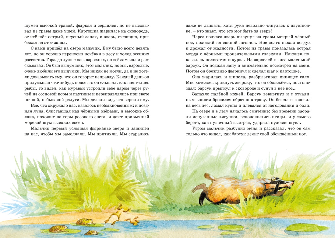 Книга Махаон ЯркЛент Паустовский К Кот ворюга Рассказы и сказки - фото 11