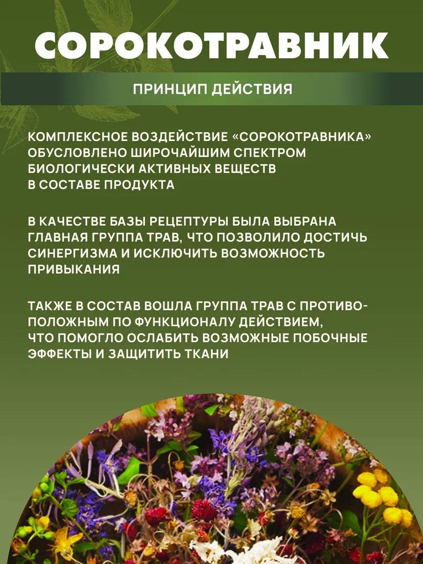 БАД Арт Лайф Фитопаста Сорокотравник на основе 40 трав - фото 3