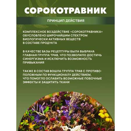 БАД Арт Лайф Фитопаста Сорокотравник на основе 40 трав